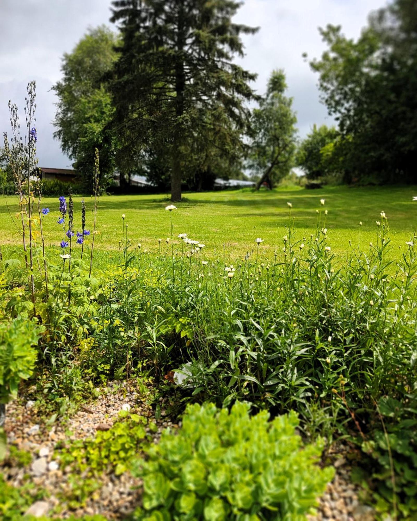 Gruenvogels Landgasthof Zum Gruenen Baum Oberzent المظهر الخارجي الصورة